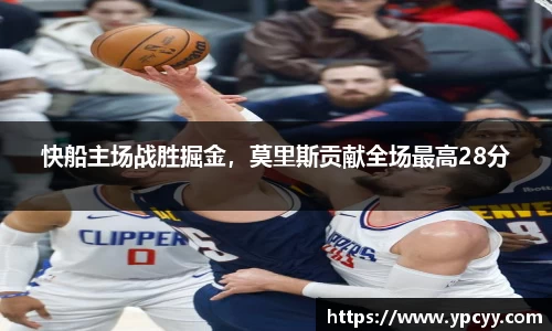 完美体育