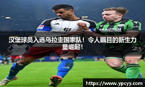 完美体育官网