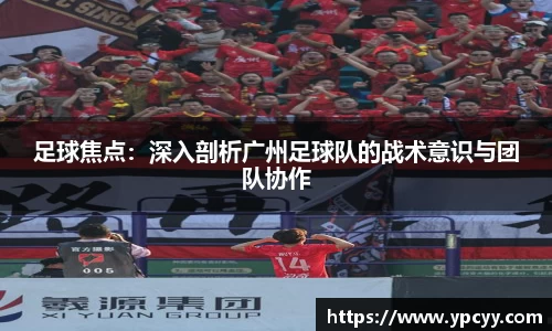 完美体育
