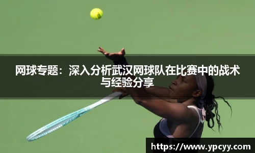 完美体育app下载安装