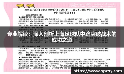 完美体育在线入口官网