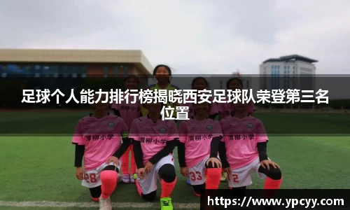 完美体育在线入口官网