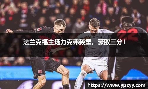 完美体育官网