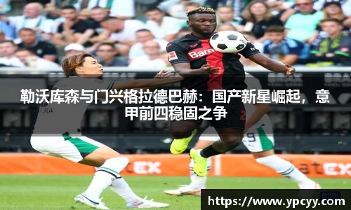完美体育官网