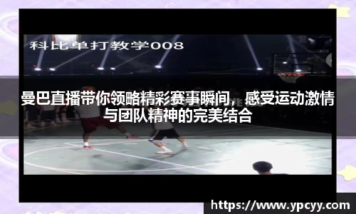 完美体育在线入口官网