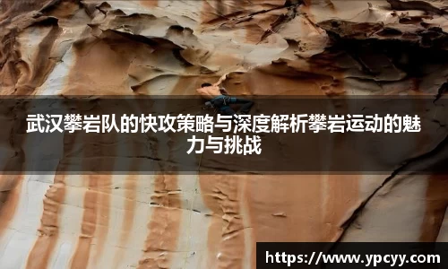 完美体育