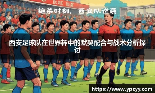 完美体育app下载安装