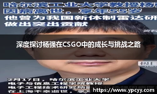 深度探讨杨强在CSGO中的成长与挑战之路