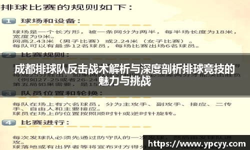 成都排球队反击战术解析与深度剖析排球竞技的魅力与挑战