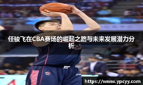 任骏飞在CBA赛场的崛起之路与未来发展潜力分析