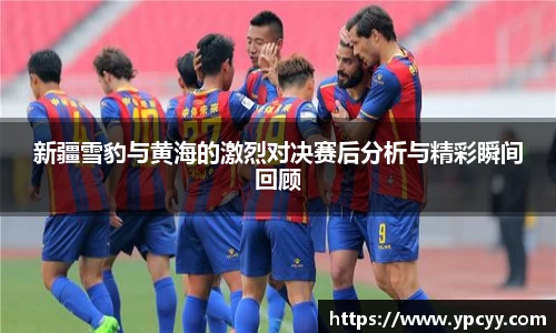 完美体育在线入口官网