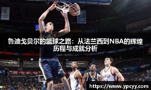 完美体育在线入口官网
