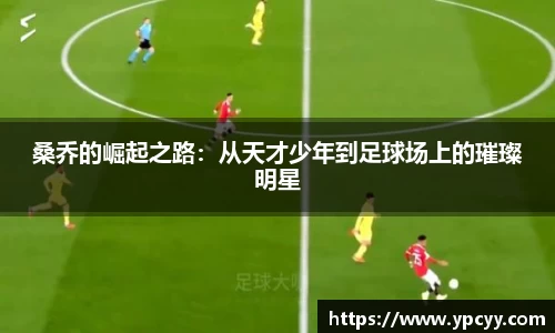 完美体育app下载安装