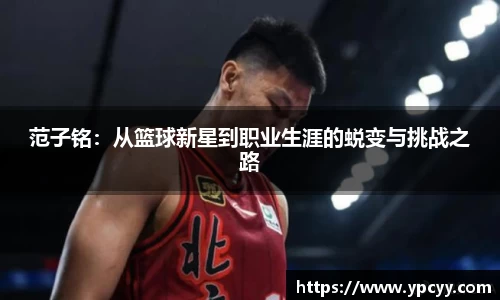 完美体育在线入口官网