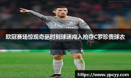 完美体育在线入口官网
