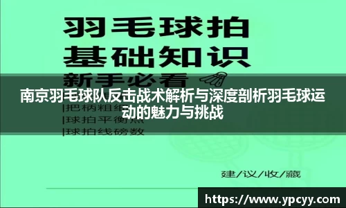 完美体育app下载安装