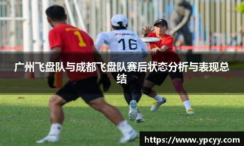 完美体育在线入口官网