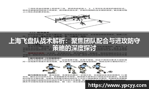 完美体育官网